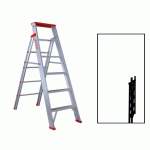 ALCO Back Lifting Ladder